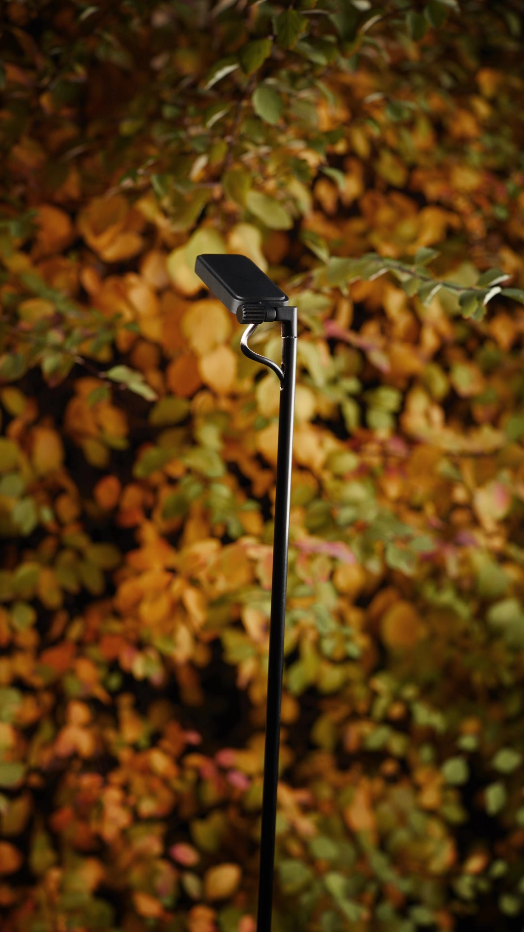 Lampa zewnętrzna Flia – Luceplan