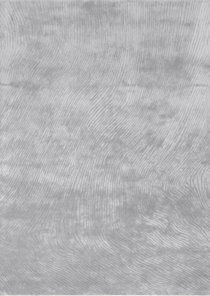 Dywan Canyon Silver – Carpet Decor