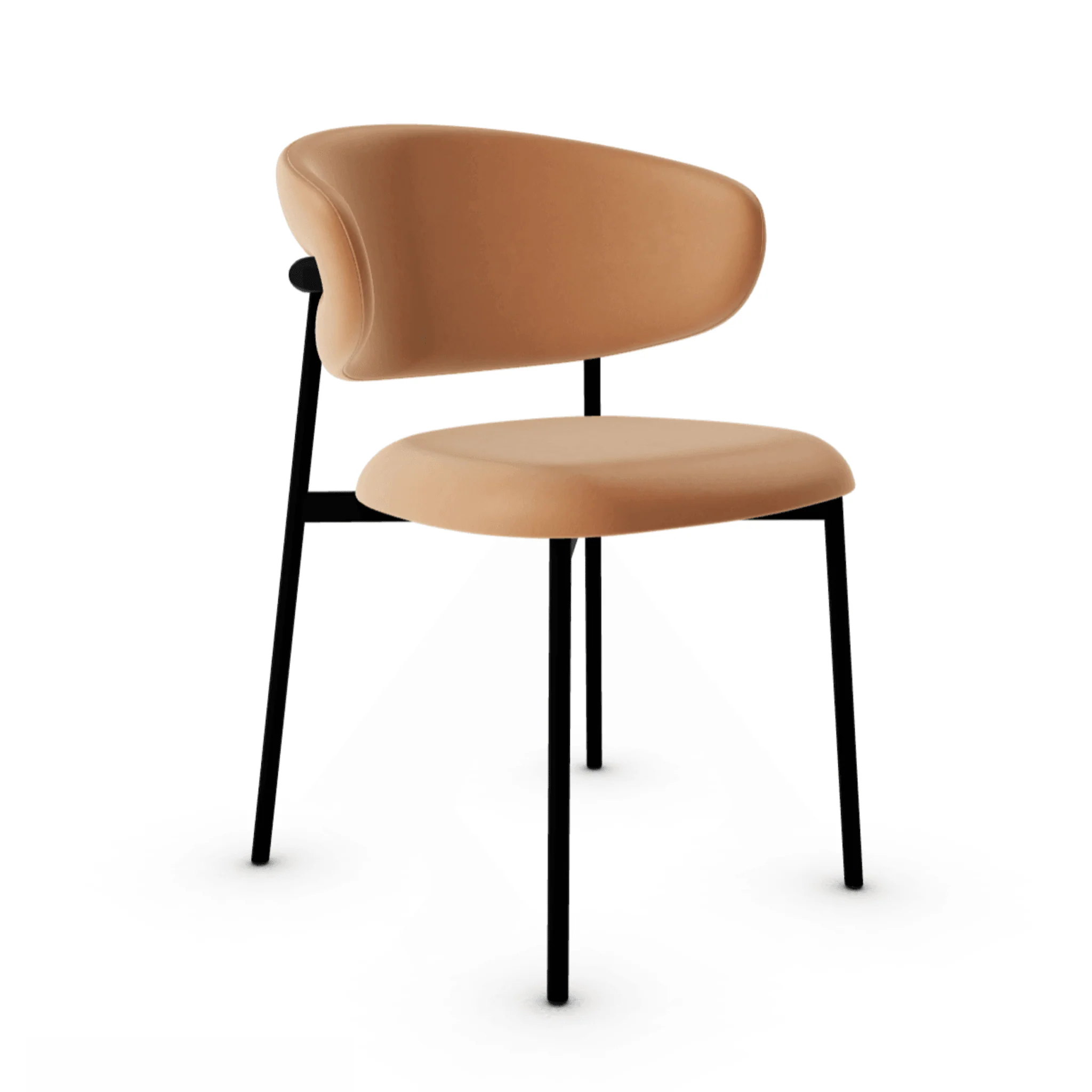 Krzesło Oleandro – Calligaris